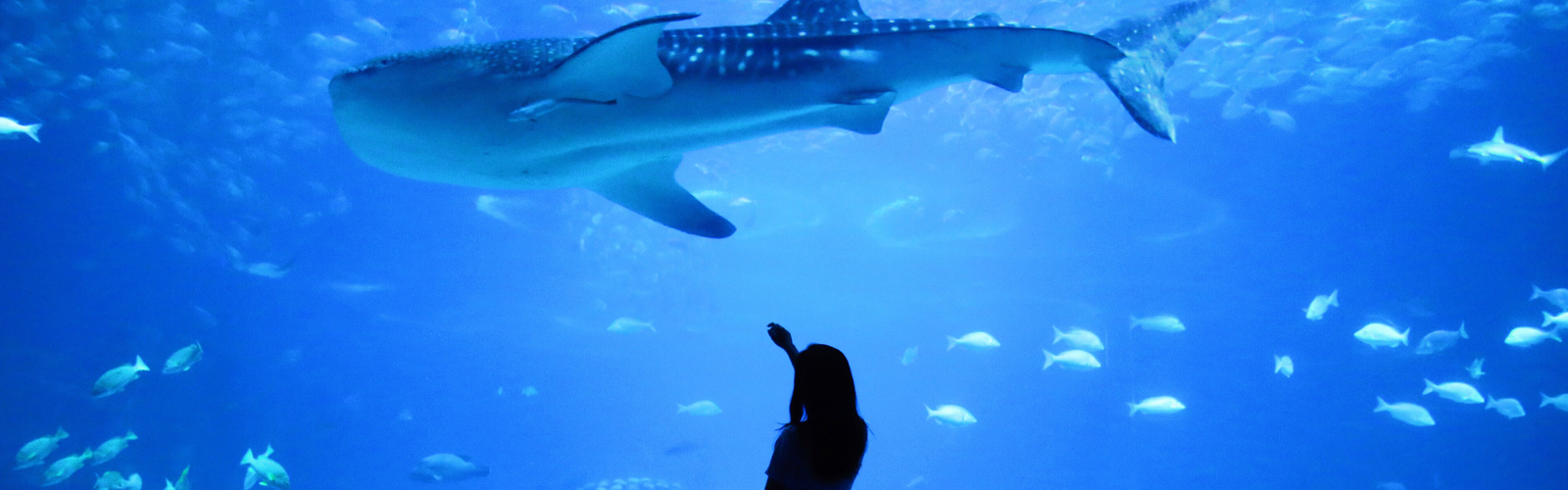 woman waiving at a giant fish