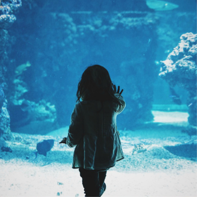 a child watching a fish swim